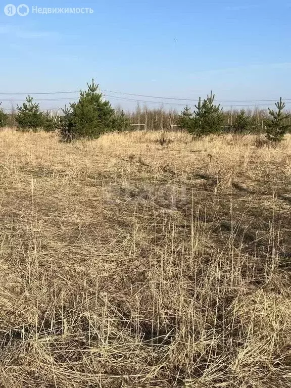 Участок в Нижегородская область, Кстовский муниципальный округ, ... - Фото 1