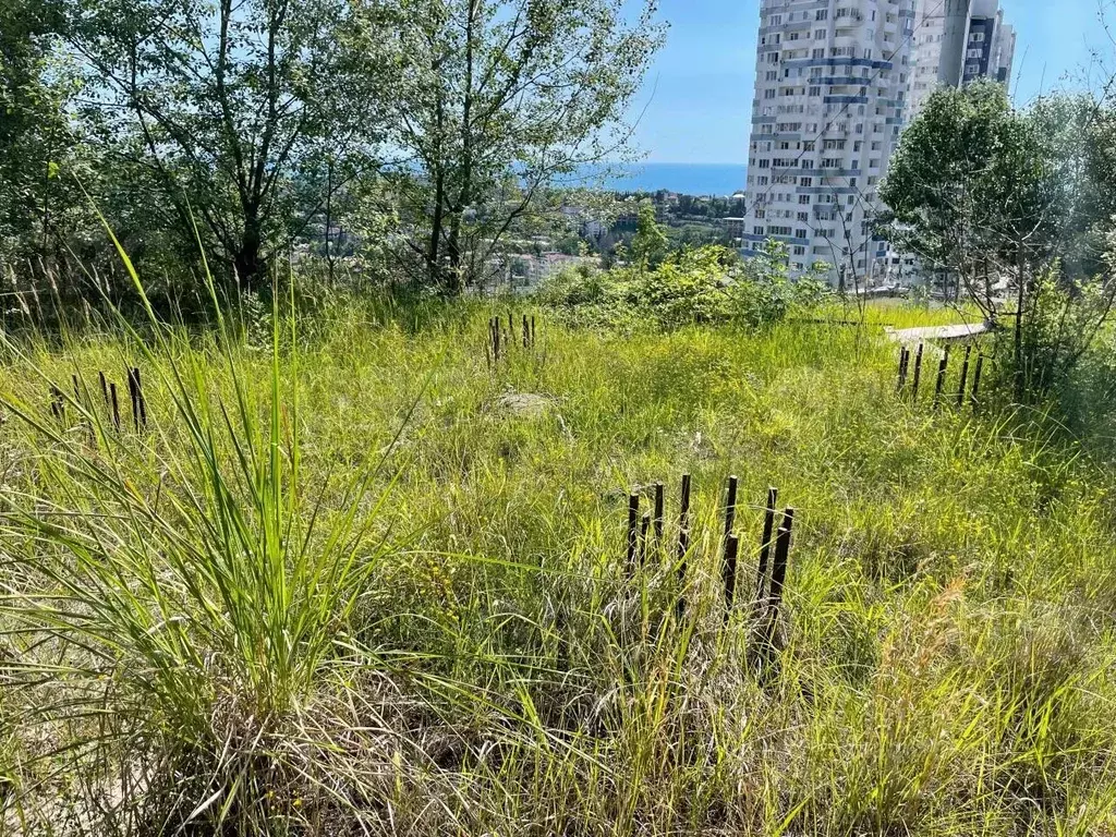 Участок в Краснодарский край, Сочи ул. Тимирязева (6.0 сот.) - Фото 1