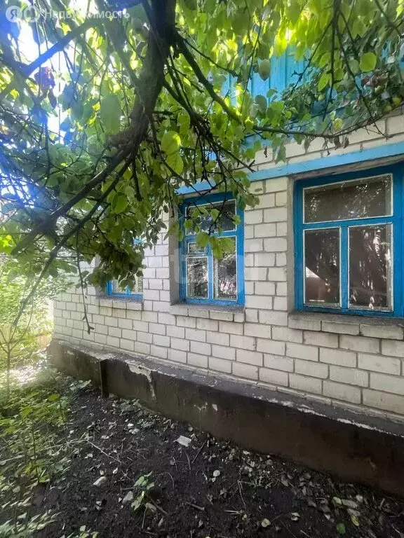 Дом в Белгородская область, Алексеевский муниципальный округ, ... - Фото 1