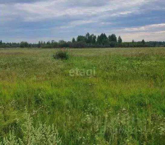 Участок в Алтайский край, Первомайский район, с. Фирсово, Рощино мкр ... - Фото 0