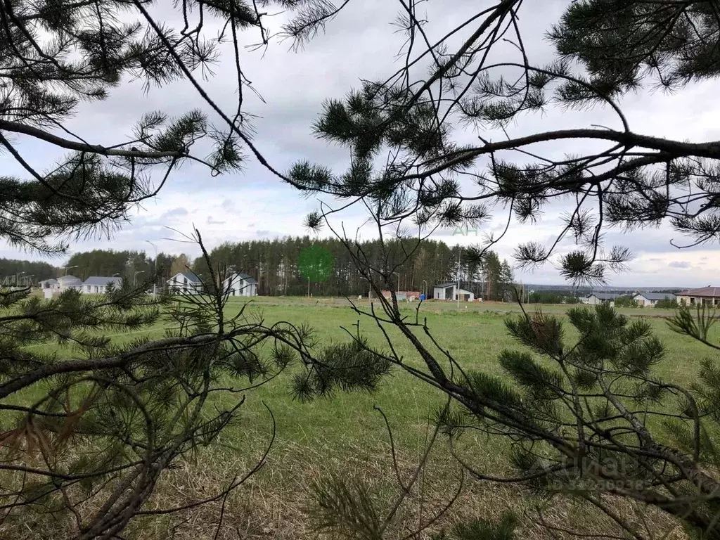 Участок в Свердловская область, Белоярский городской округ, пос. ... - Фото 1