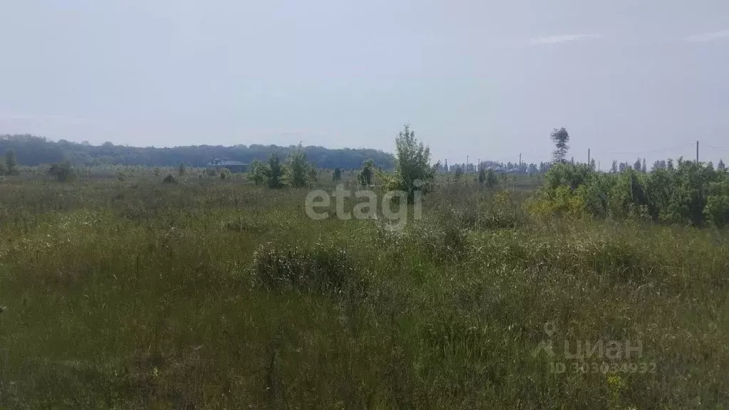 Участок в Белгородская область, Яковлевский городской округ, с. Раково ... - Фото 1