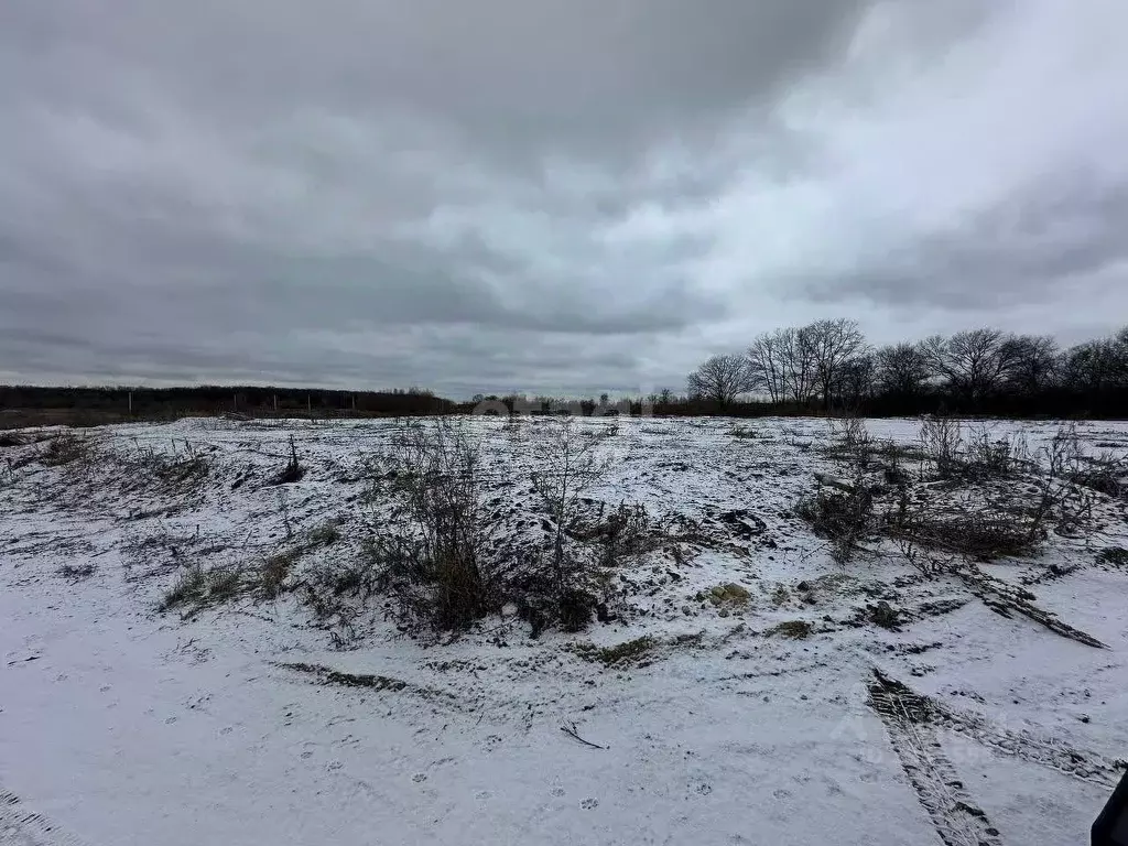 Участок в Воронежская область, Новоусманский район, с. Бабяково ... - Фото 1