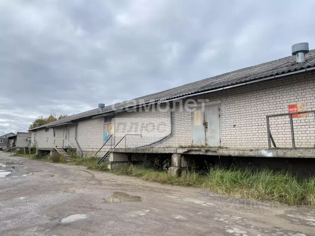 Склад в Псковская область, Псков ул. Ижорского Батальона, 4 (400 м) - Фото 0