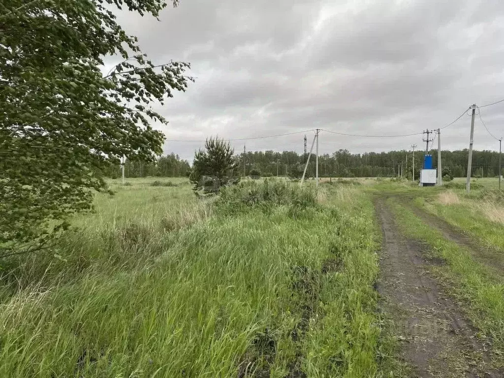 Участок в Курганская область, Кетовский муниципальный округ, ... - Фото 2