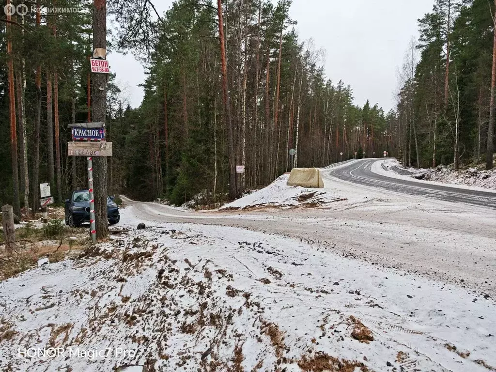 Участок в Плодовское сельское поселение, посёлок Красное (22 м) - Фото 1