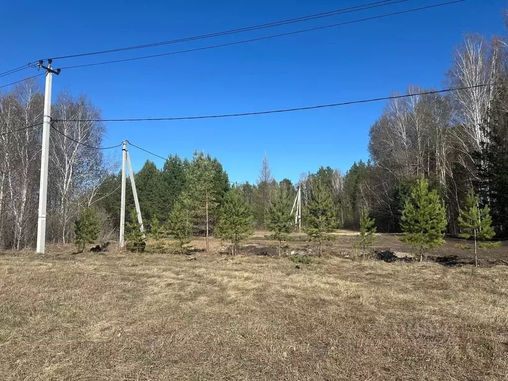 Участок в Тюменская область, Тюменский район, с. Горьковка  (6.0 сот.) - Фото 0