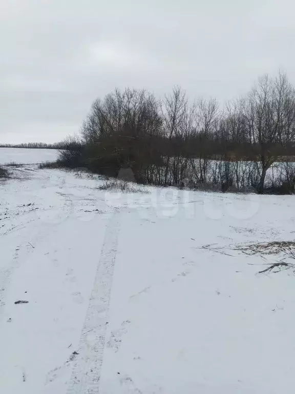 Участок 5,46 га (СНТ, ДНП) - Фото 0