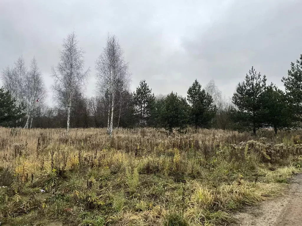 Продается участок в г. Раменское - Фото 0