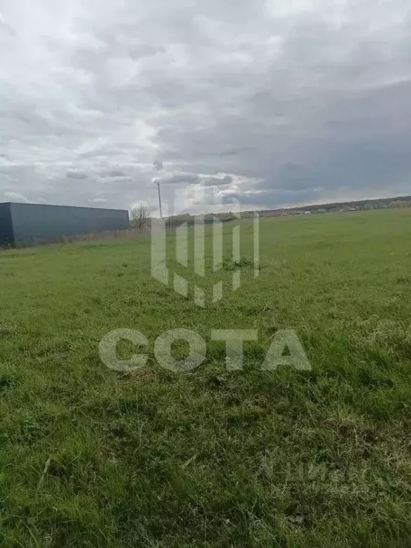 Участок в Воронежская область, Новоусманский район, с. Хреновое ул. ... - Фото 2