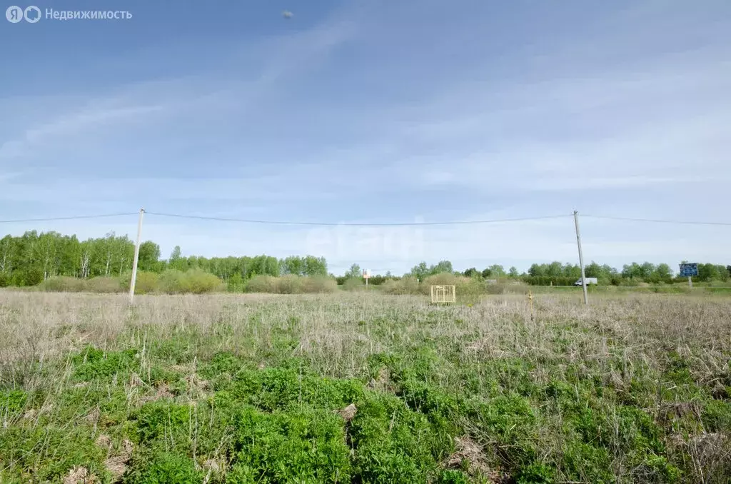 Участок в Заводоуковск, Пригородная улица (11.15 м) - Фото 2