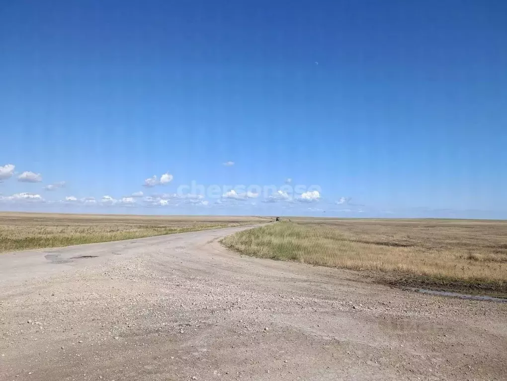 Участок в Крым, Ленинский район, Батальненское с/пос, с. Южное ул. ... - Фото 2