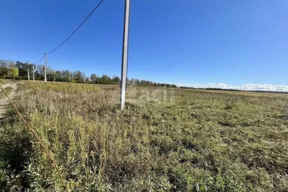 Участок в Кировская область, Кирово-Чепецкий район, Кстининское с/пос, ... - Фото 1