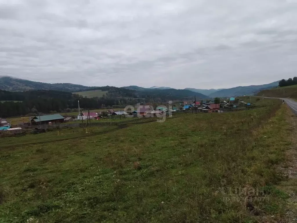 Участок в Алтай, Майминский район, с. Александровка Центральная ул. ... - Фото 0