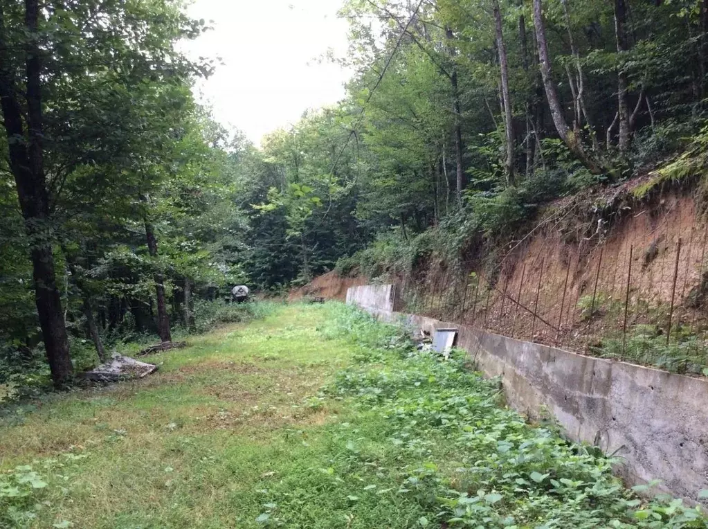 Участок в Краснодарский край, Сочи городской округ, с. Харциз Первый ... - Фото 1