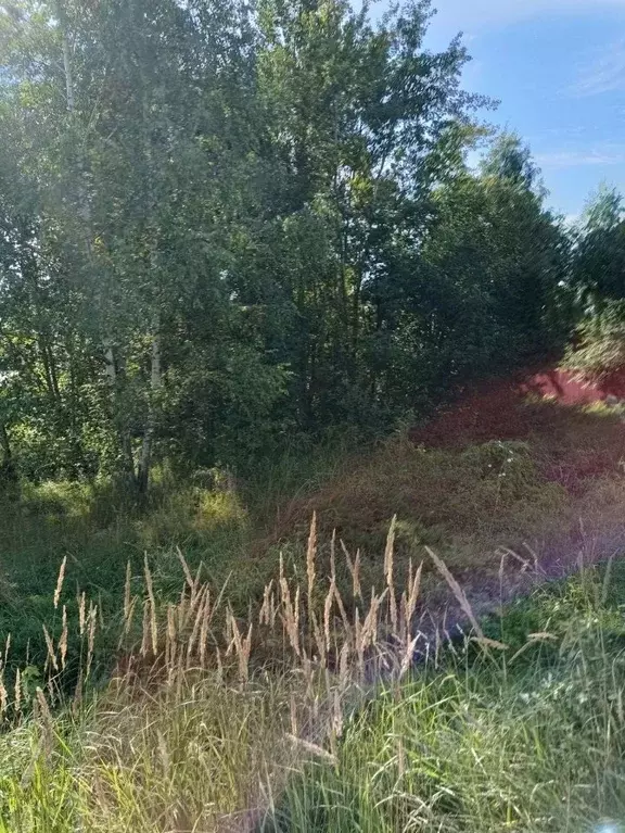 Участок в Московская область, Солнечногорск городской округ, д. Редино ... - Фото 2