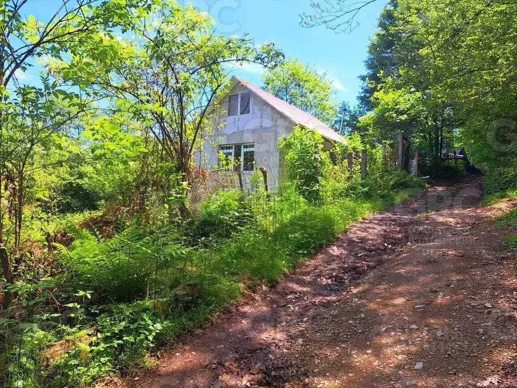 Участок в Краснодарский край, Сочи городской округ, с. Пластунка ул. ... - Фото 1