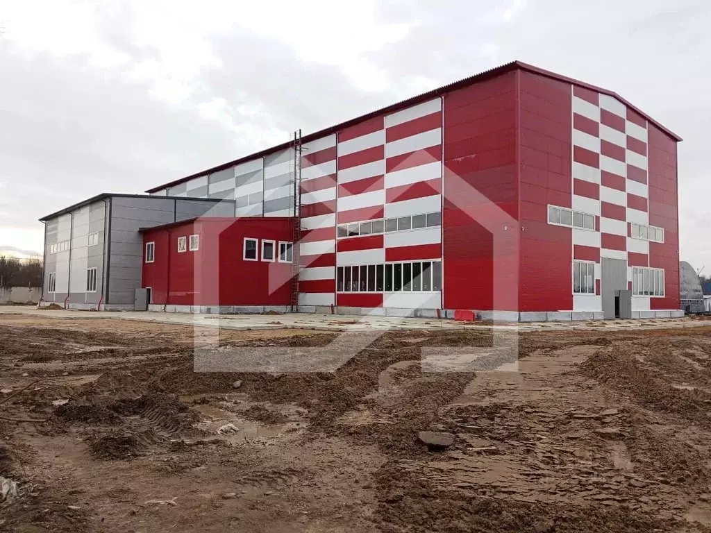 Помещение свободного назначения в Московская область, Домодедово Белые ... - Фото 1