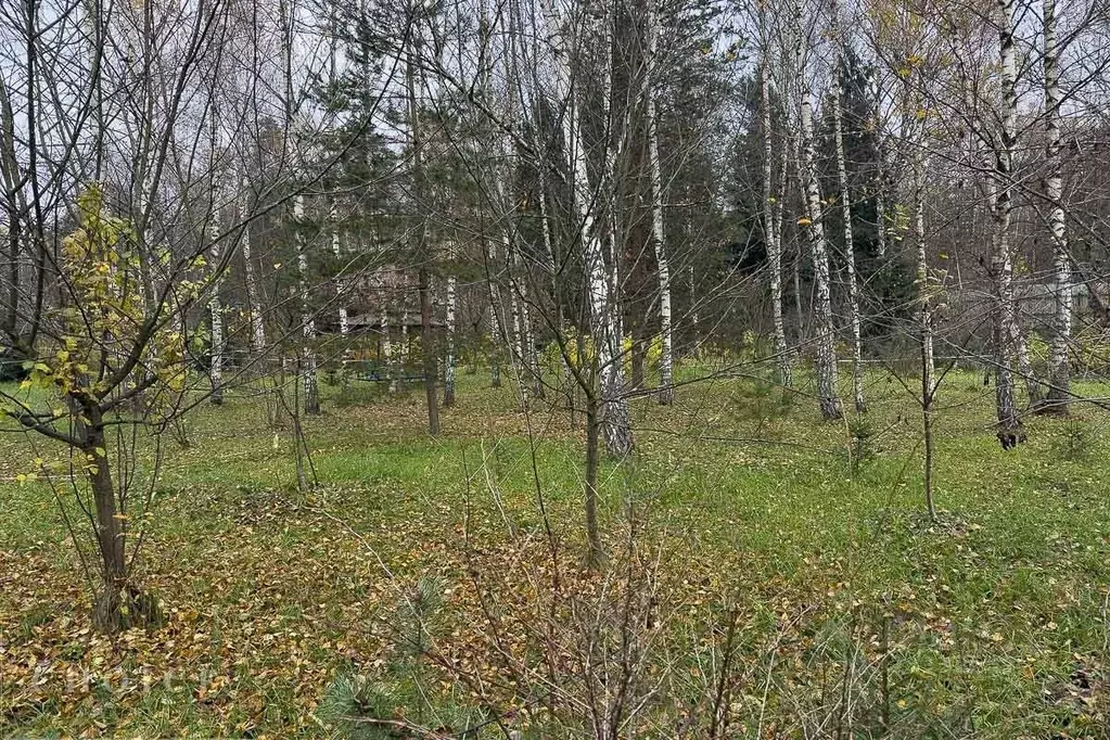 Участок в Московская область, Одинцовский городской округ, д. Лызлово  ... - Фото 1