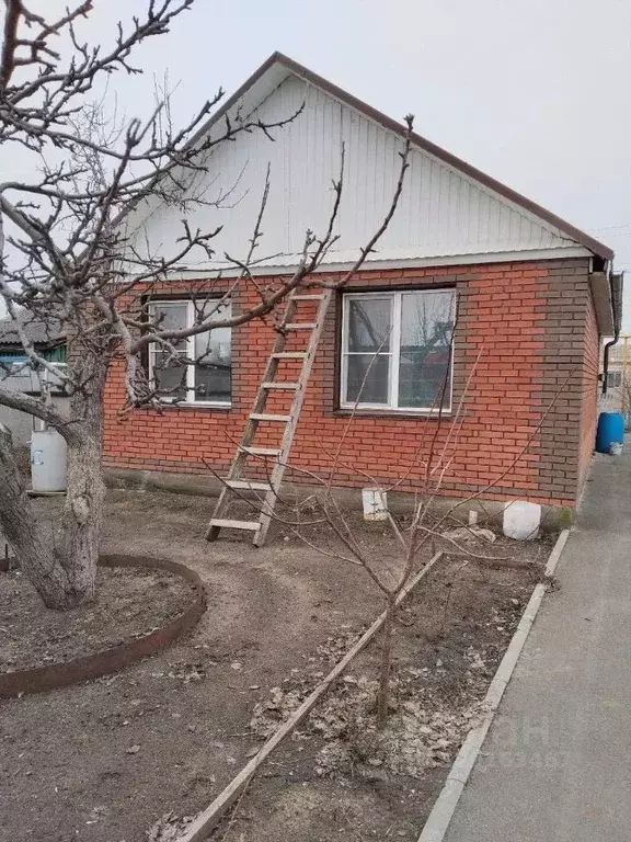 Дом в Челябинская область, Октябрьский муниципальный округ, с. ... - Фото 2