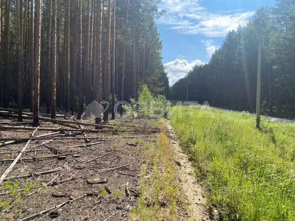 Участок в Тюменская область, Нижнетавдинский район, пос. ... - Фото 2