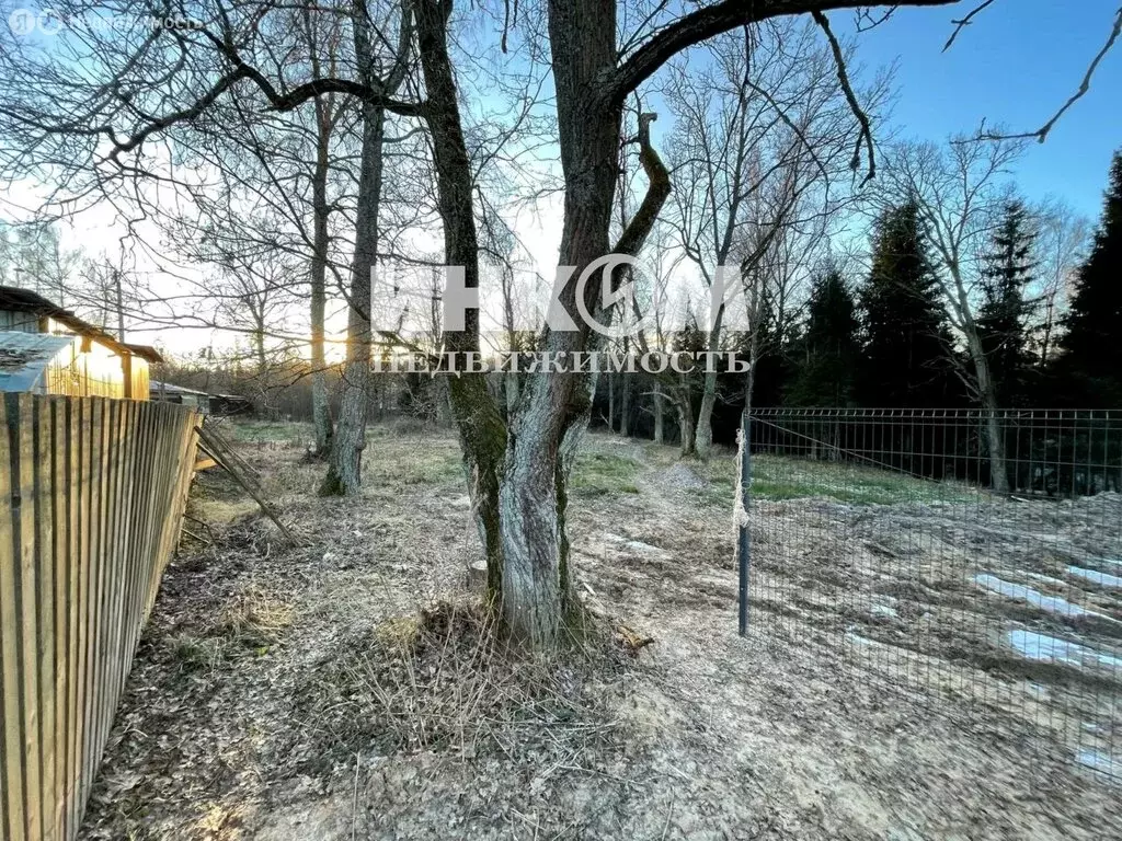 Участок в посёлок городского типа Тучково, улица Даниловка, 79 (11 м) - Фото 1