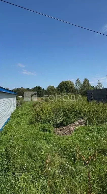 Участок в Алтай, Турочакский район, с. Дмитриевка ул. Морозова, 24 ... - Фото 2