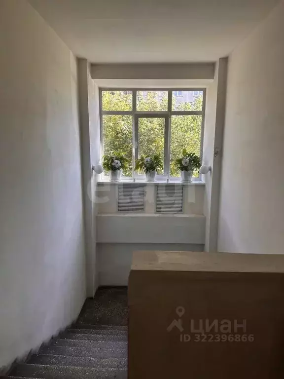 Офис в Новосибирская область, Новосибирск ул. Дуси Ковальчук, 16 (18 ... - Фото 2