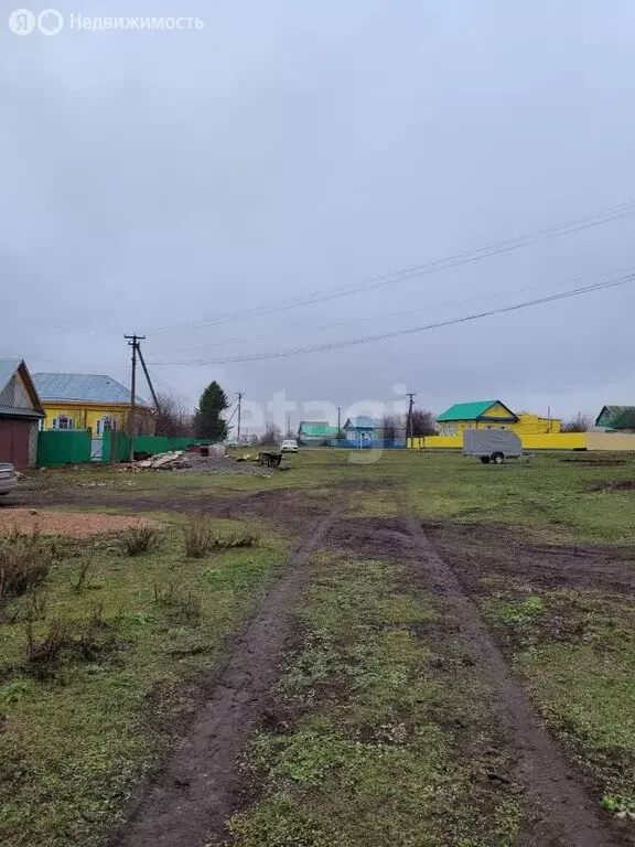 Участок в Кушнаренковский район, Шариповский сельсовет, село Калтаево ... - Фото 2