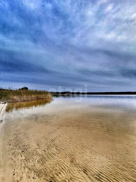 Участок в Нижегородская область, Навашинский муниципальный округ, с. ... - Фото 1