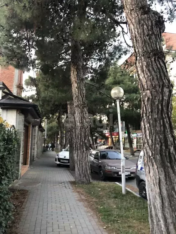 Участок в Краснодарский край, Геленджик  (6.0 сот.) - Фото 0