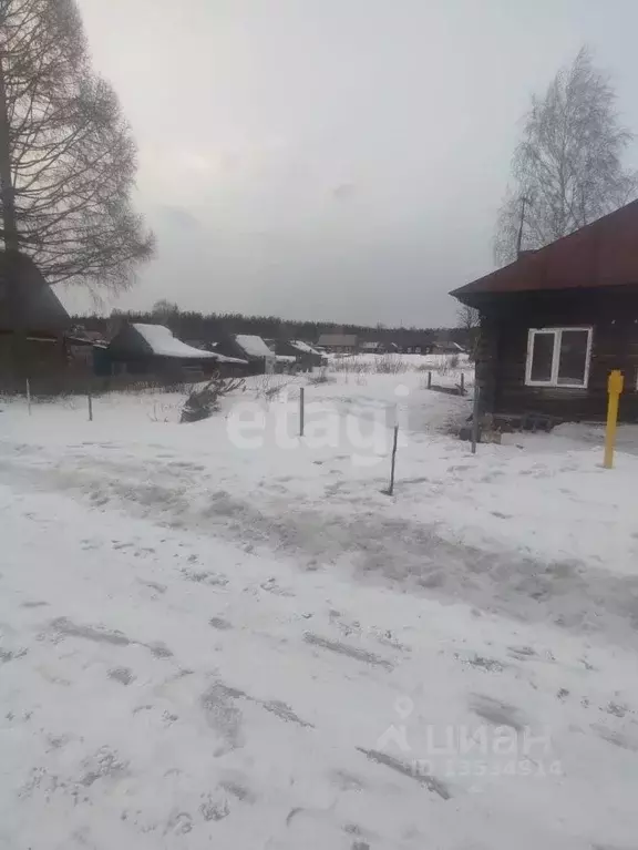 Дом в Алтайский край, Тальменский район, Озерки ст. Цеховая ул. (48 м) - Фото 0