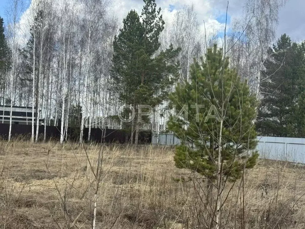 Участок в Тюменская область, Нижнетавдинский муниципальный округ, ... - Фото 2