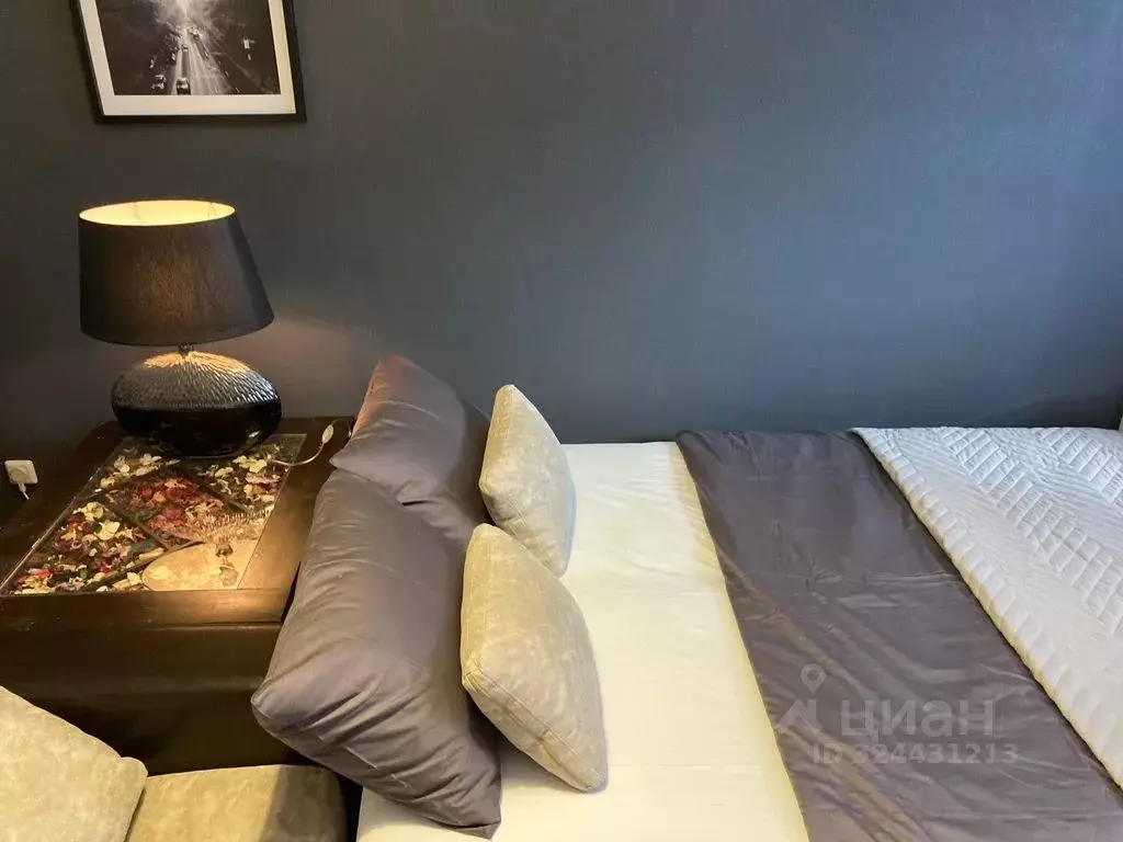 1-к кв. Московская область, Ивантеевка Пушкинский городской округ, ул. ... - Фото 2