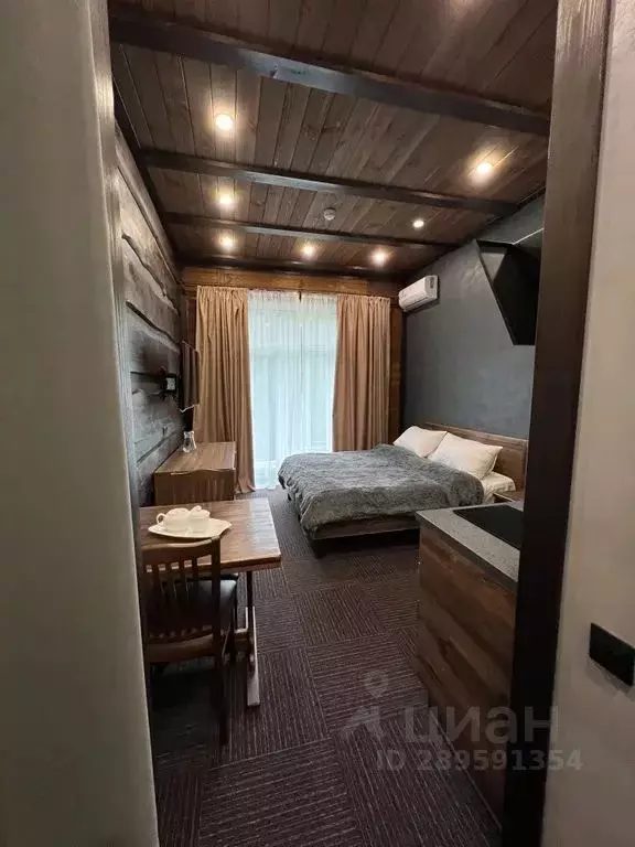 1-к кв. Челябинская область, Миасский городской округ, с. Сыростан ул. ... - Фото 2
