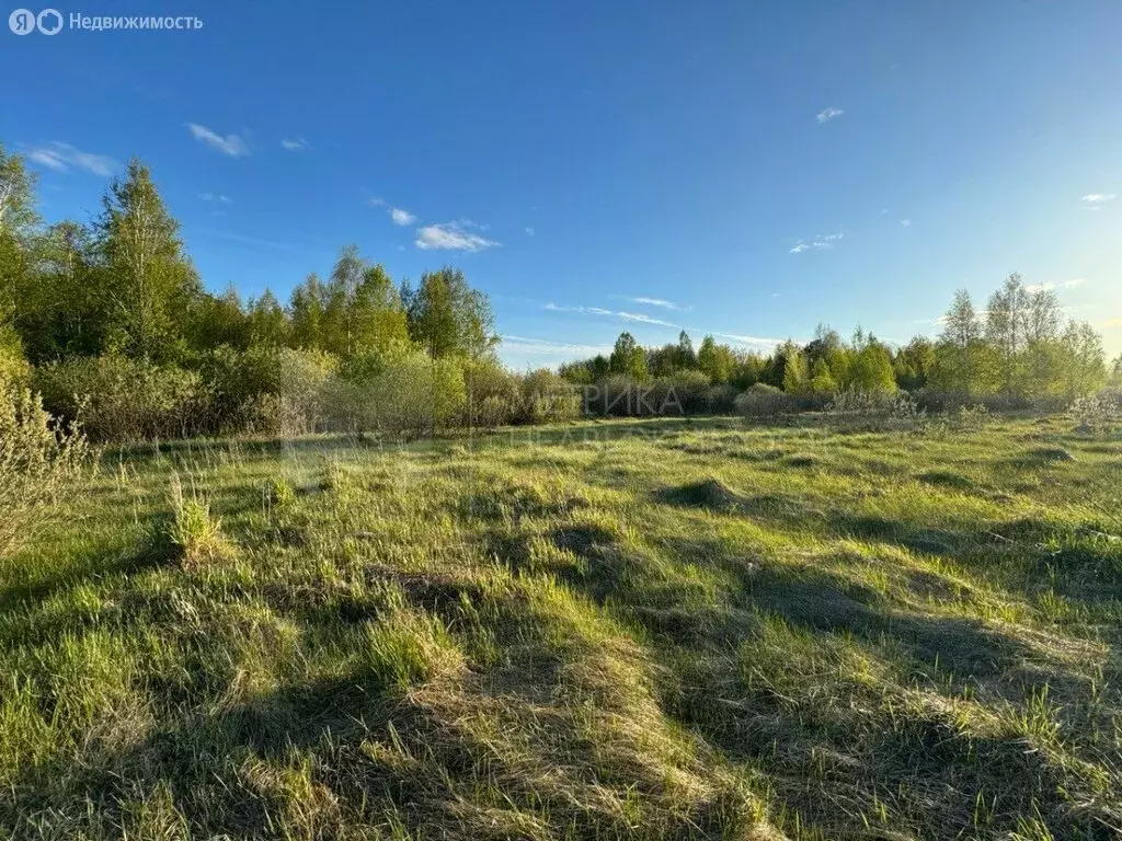 Участок в Тюменский район, село Борки (93.5 м) - Фото 1