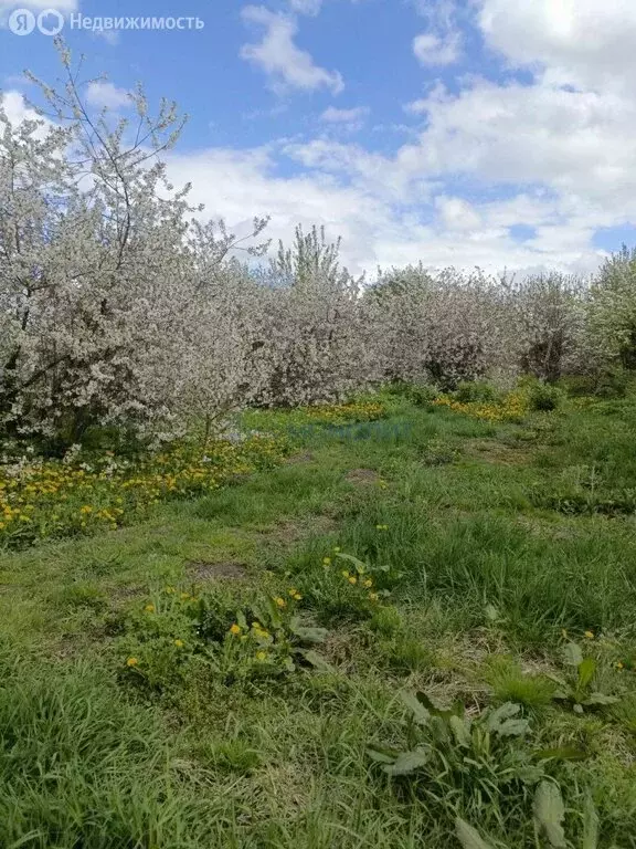 Участок в село Каменки, Центральная улица, 31 (19 м) - Фото 1