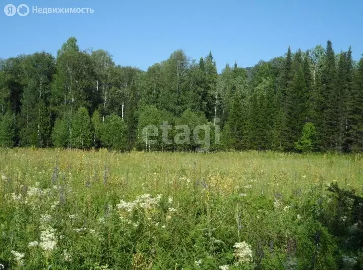 Дом в Артыбаш, Пихтовая улица (13.6 м) - Фото 1