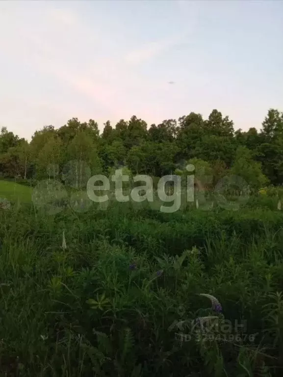 Участок в Башкортостан, с. Аскино ул. Горная, 50 (12.0 сот.) - Фото 2
