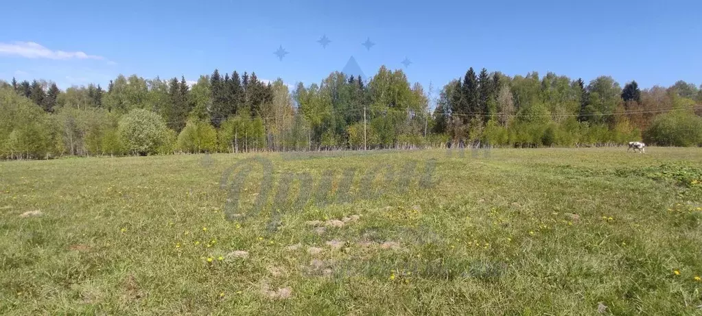 Участок в Нижегородская область, Чкаловск городской округ, с. ... - Фото 1