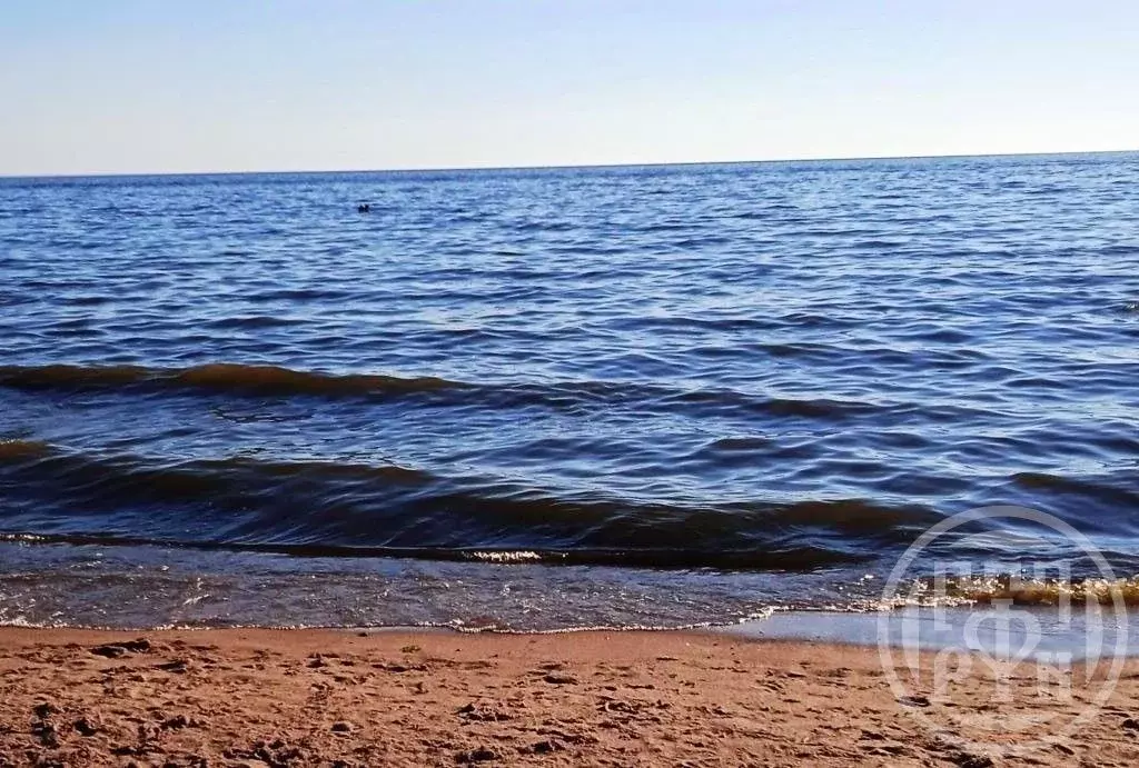 Участок в Санкт-Петербург, Санкт-Петербург, Сестрорецк Парковая ул., ... - Фото 2