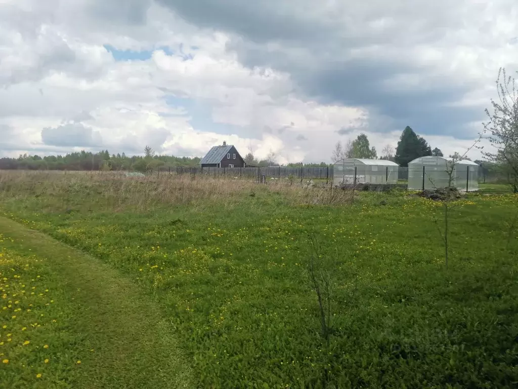 Участок в Московская область, Орехово-Зуевский городской округ, д. ... - Фото 0