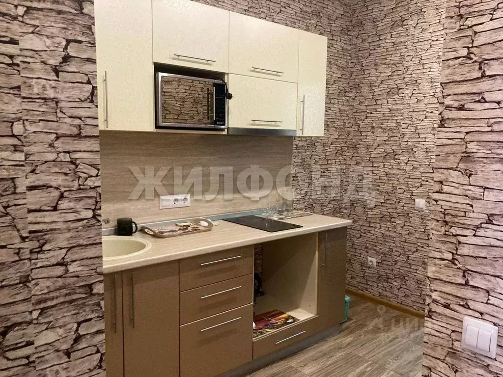 1-к кв. Новосибирская область, Новосибирск Северо-Чемской жилмассив, ... - Фото 1