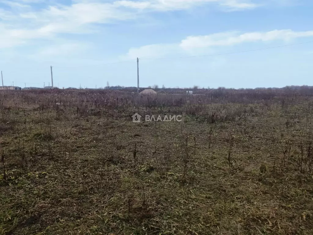 Участок в Калининградская область, Зеленоградский муниципальный округ, ... - Фото 1