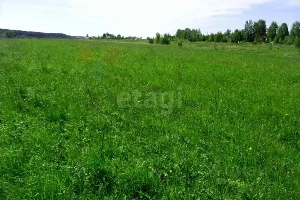 Участок в Ярославская область, Любимский муниципальный округ, д. ... - Фото 2