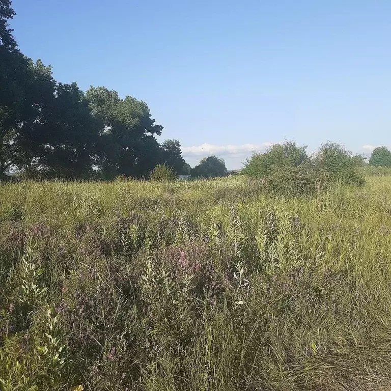 Участок в Краснодарский край, Анапа муниципальный округ, Рассвет хут. ... - Фото 1