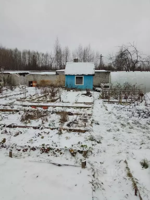 Участок в Тверская область, Торжок Машиностроитель-1 СНТ, 103 (3.8 ... - Фото 1