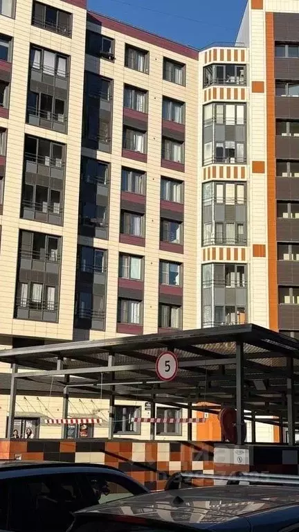 Студия Санкт-Петербург ул. Академика Павлова, 6к1 (46.0 м) - Фото 2