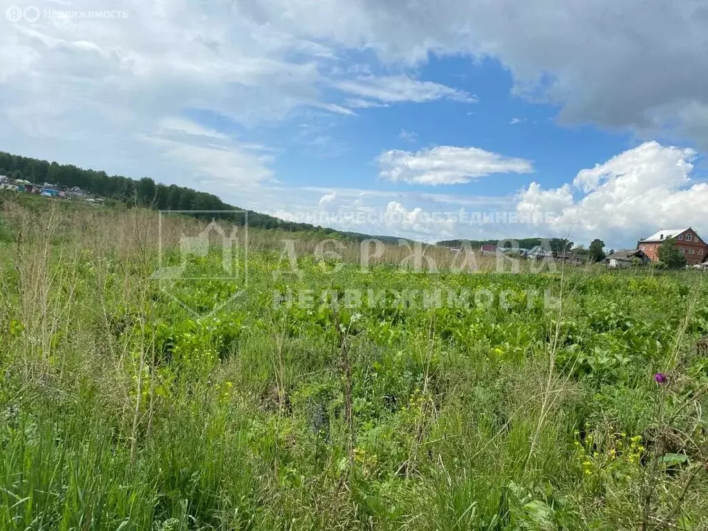 Участок в село Топки, Набережная улица, 7 (30 м) - Фото 0