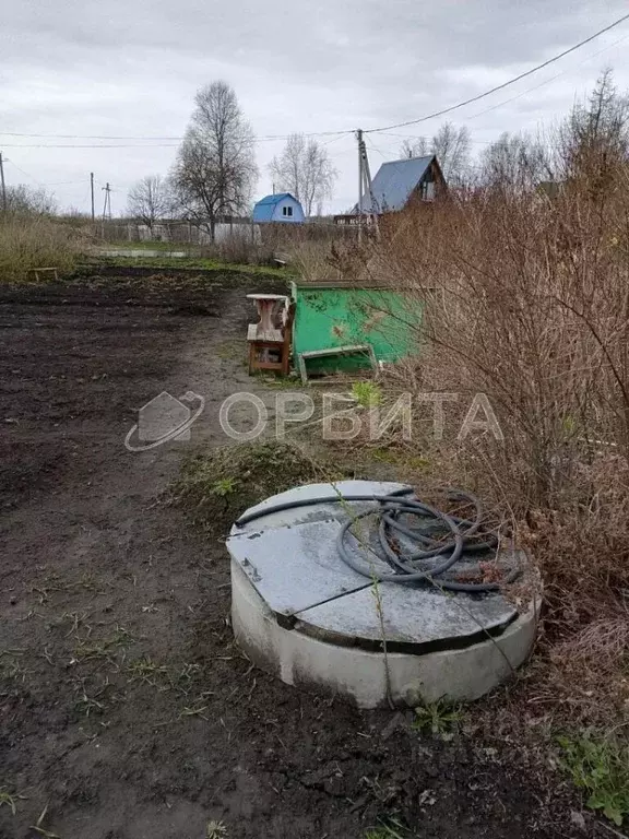 Участок в Тюменская область, Нижнетавдинский район, Ромашка СНТ ул. ... - Фото 1